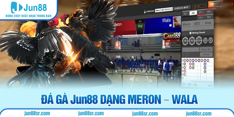 Đá gà Jun88 dạng Meron - Wala